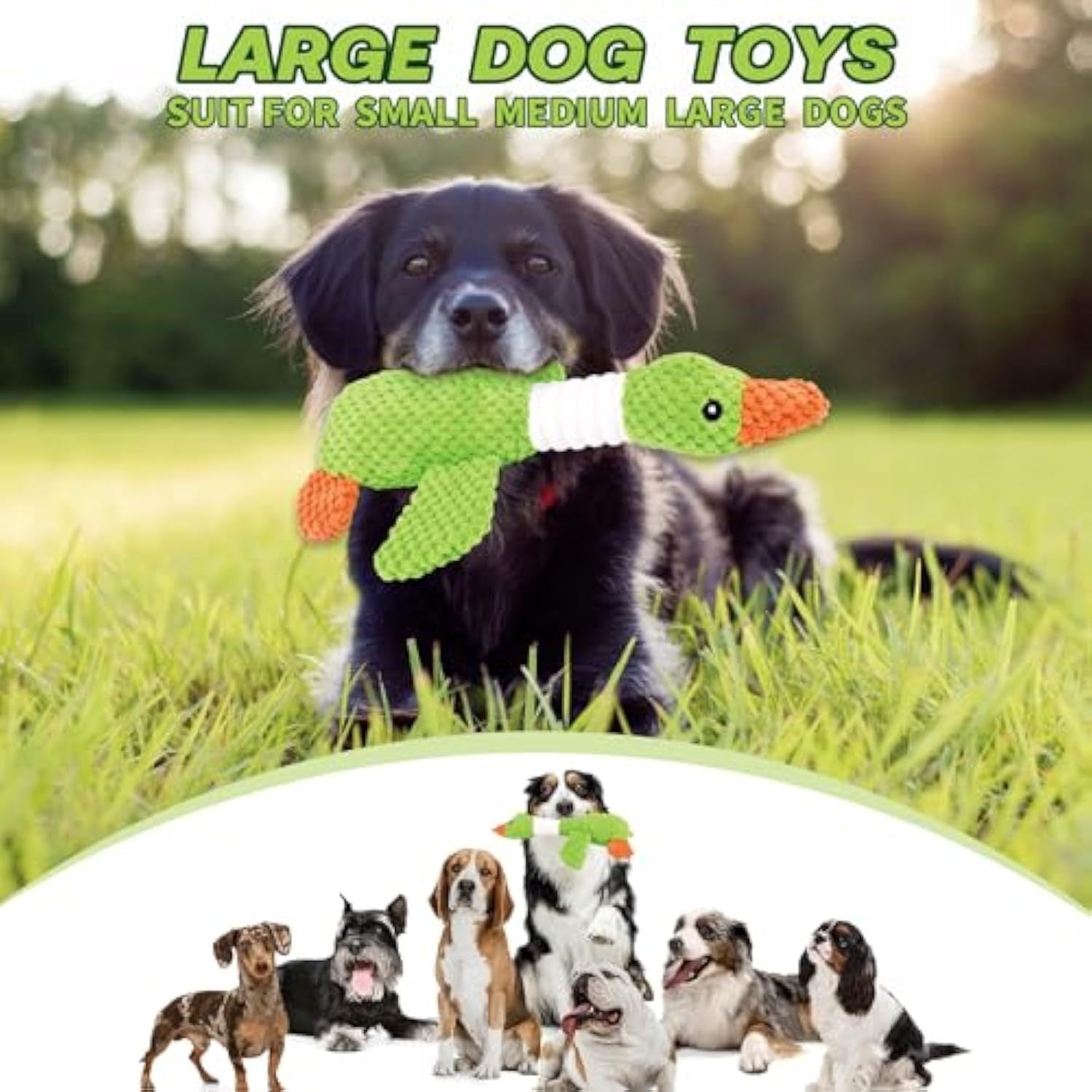 Squeaky Duck Dog Toy
