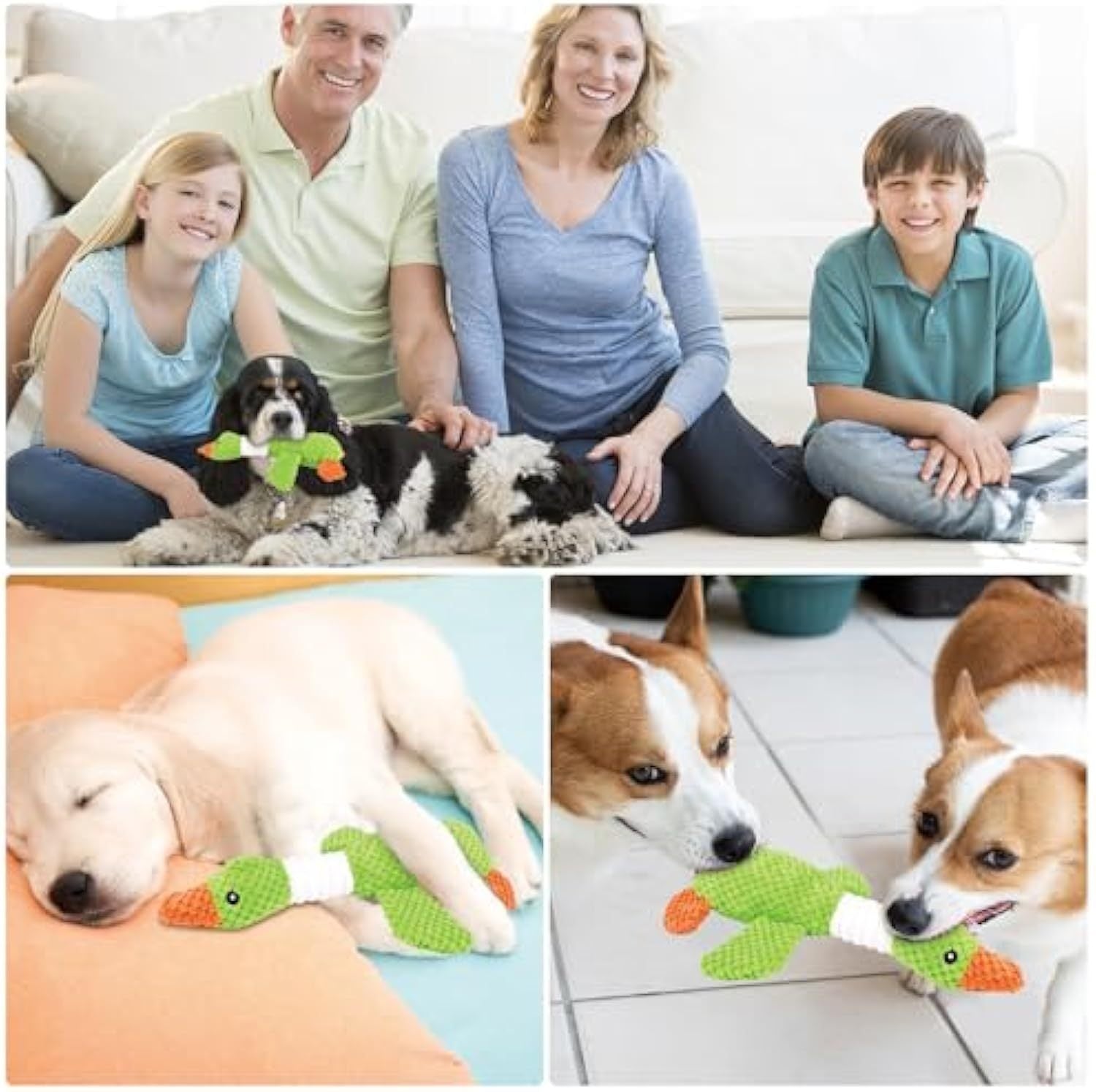 Squeaky Duck Dog Toy
